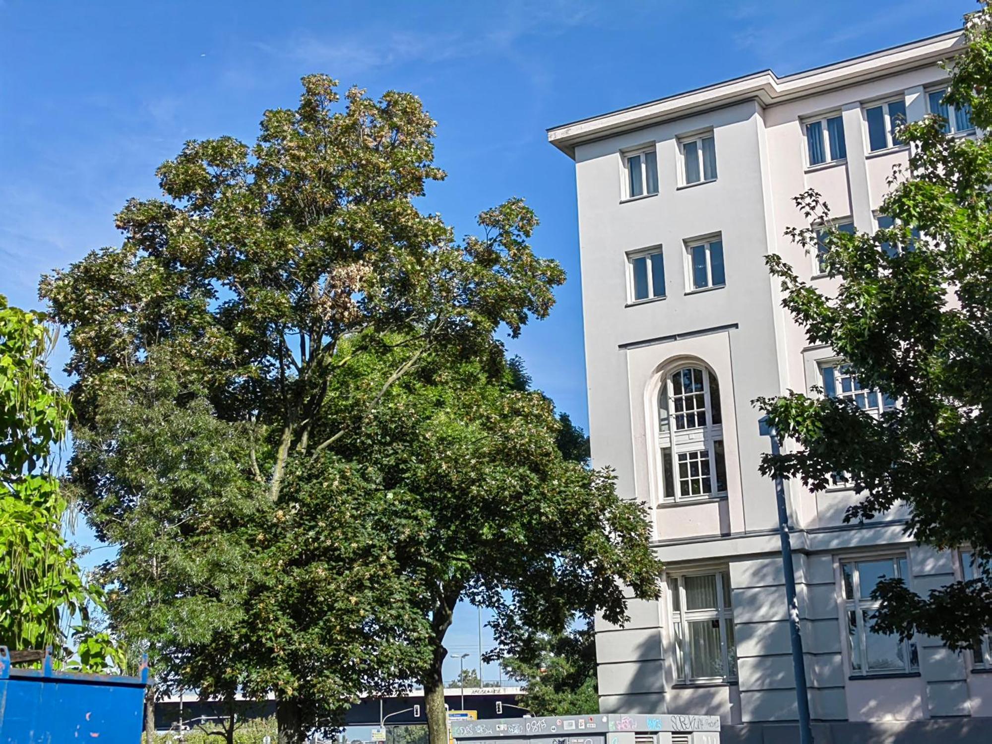 Apartamento Epic Location Düsseldorf Exterior foto